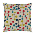 Astro Pillow