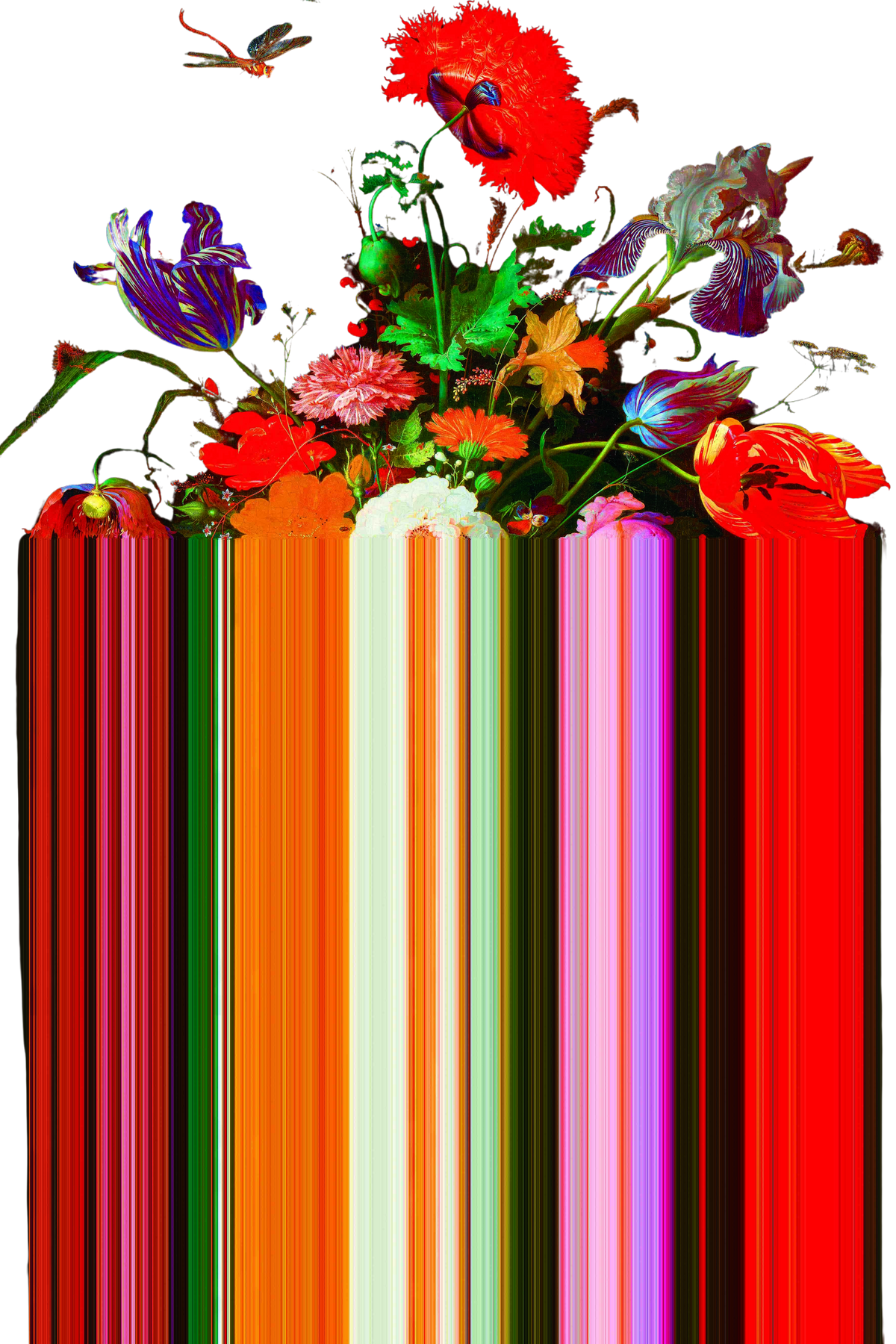 Glitch Red Carpet