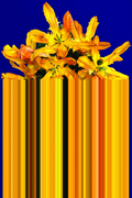 Glitch Yellow Carpet