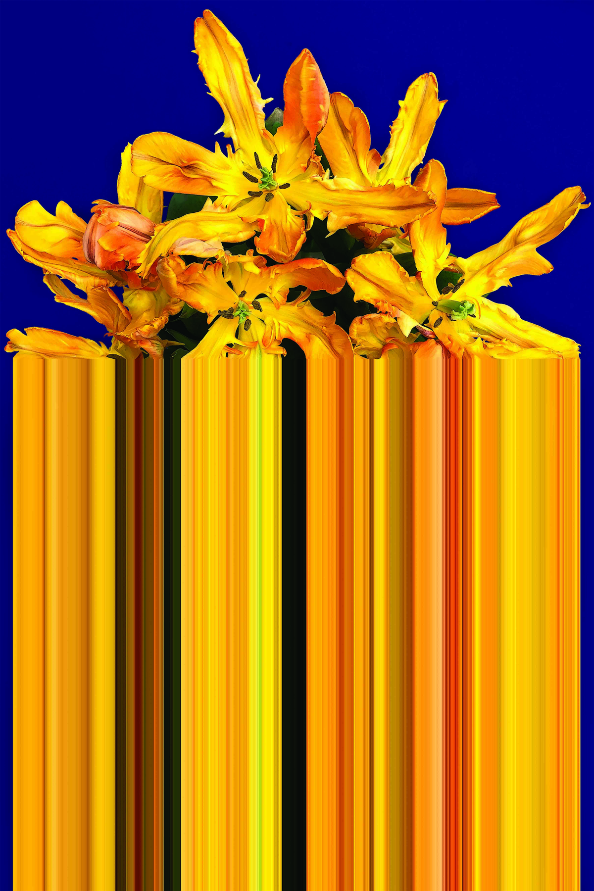 Glitch Yellow Carpet