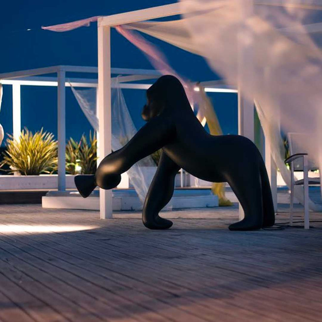 Kong Indoor/Outdoor