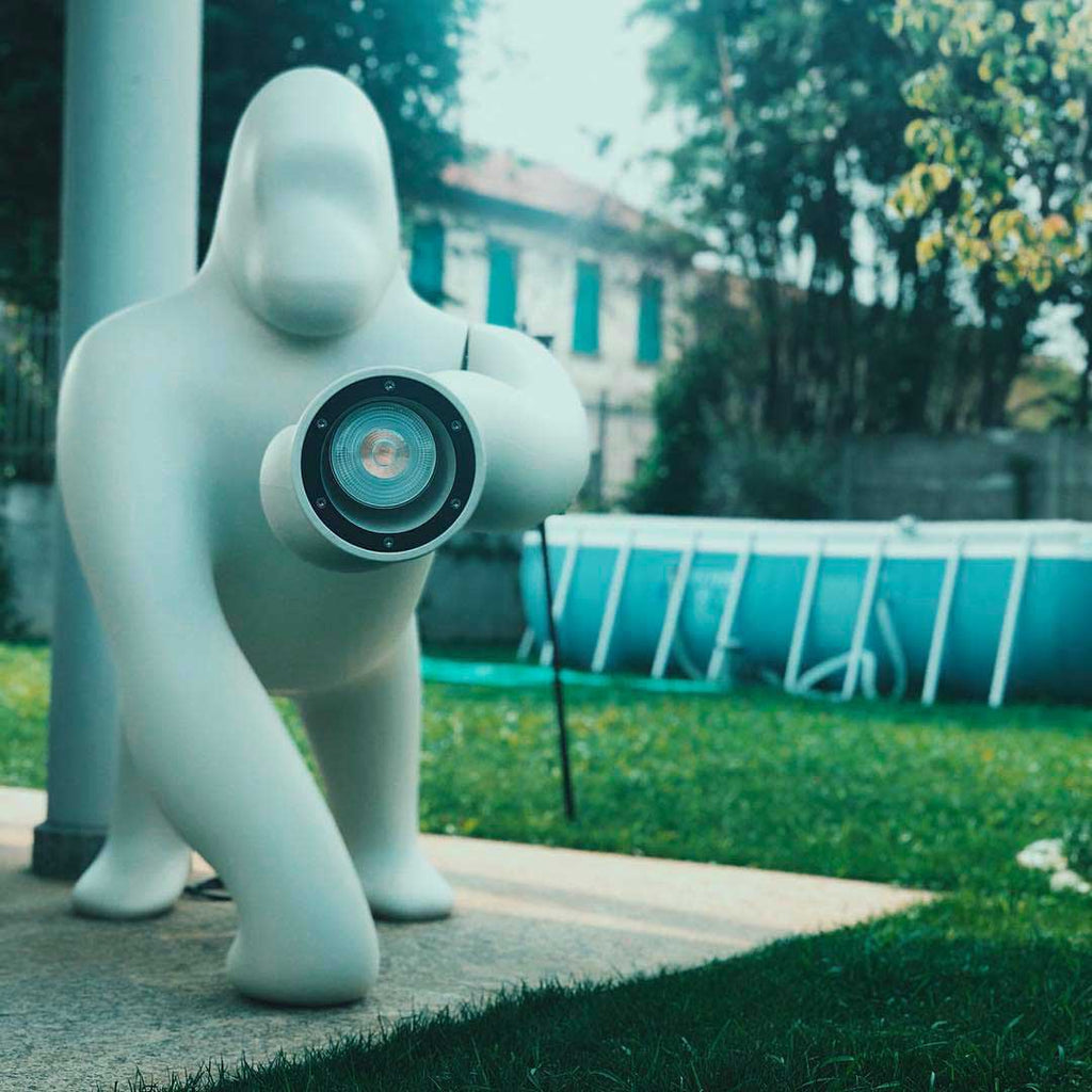 Kong Indoor/Outdoor