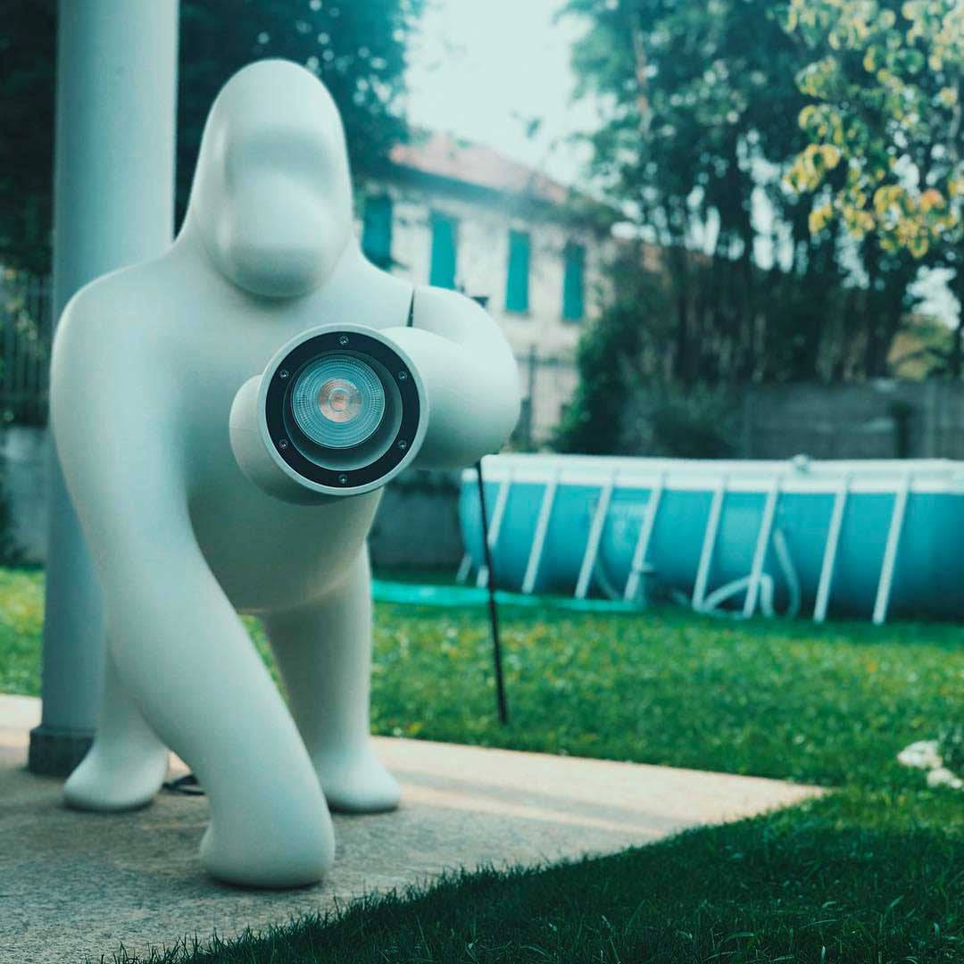 Kong Indoor/Outdoor