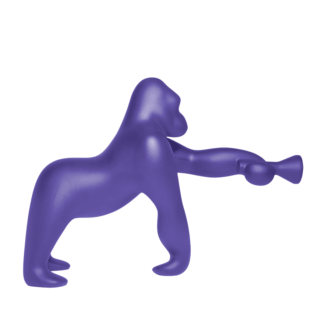Kong Indoor/Outdoor