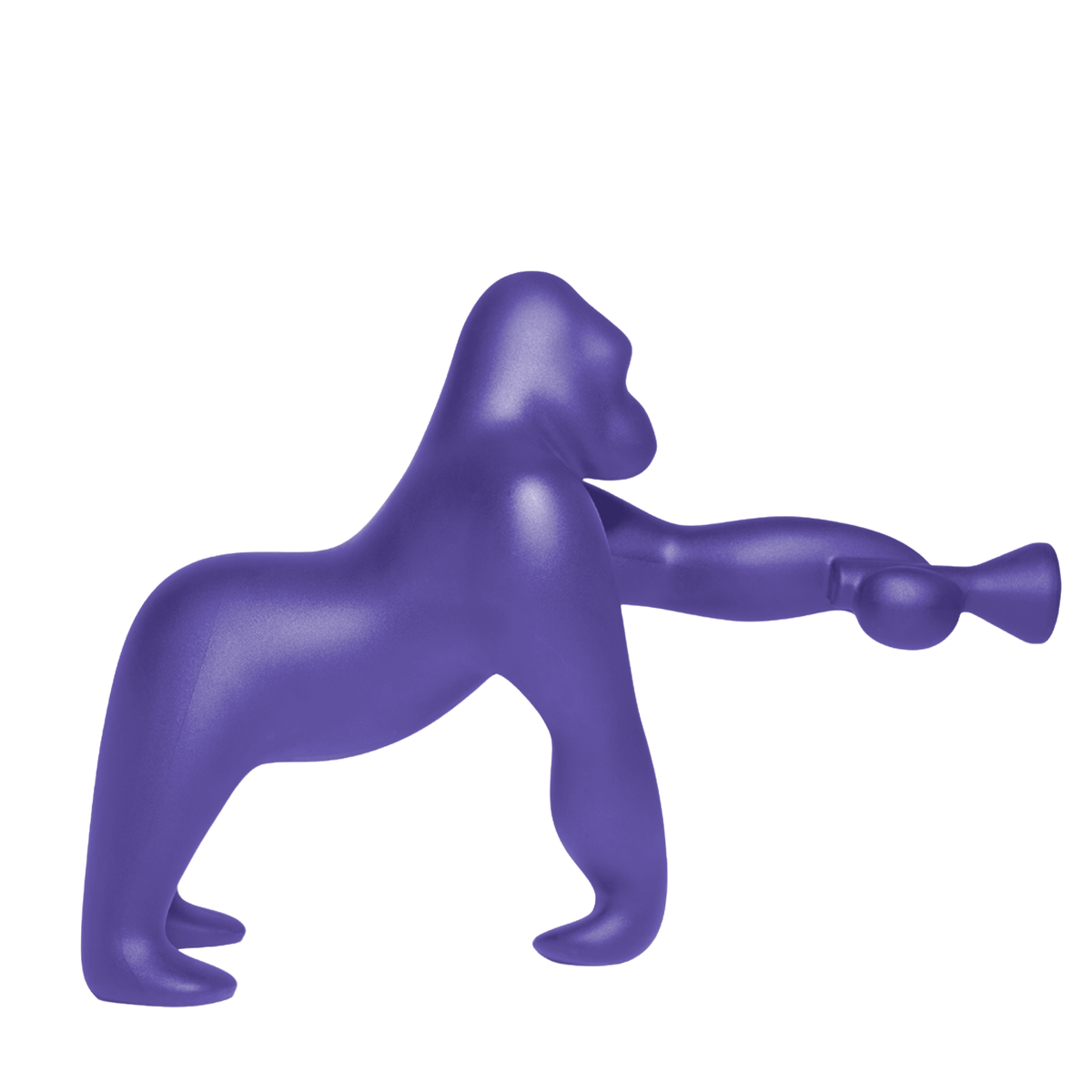 Kong Indoor/Outdoor