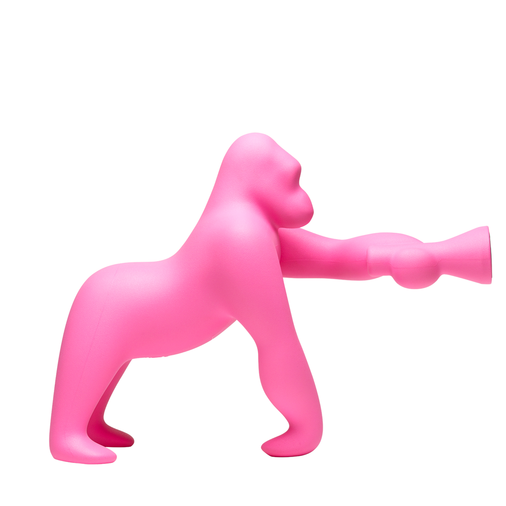 Kong Indoor/Outdoor