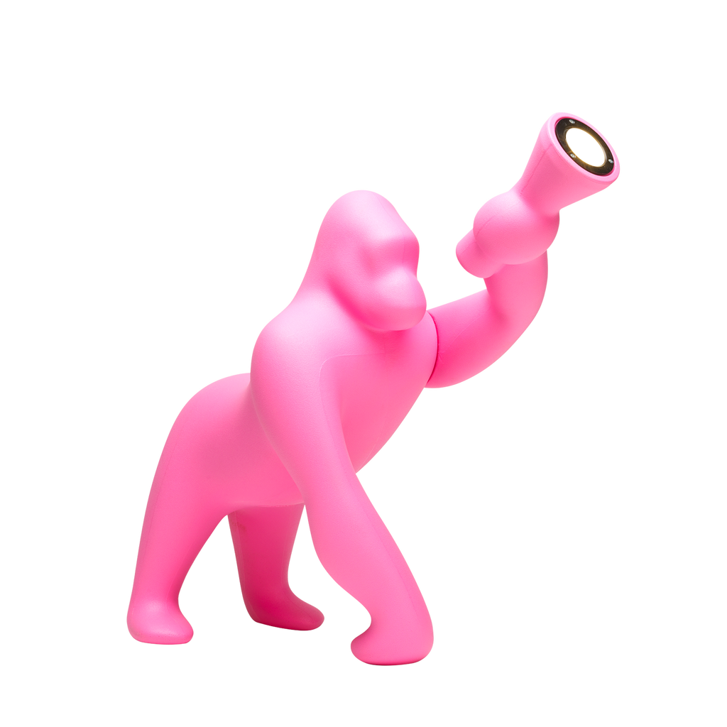 Kong Indoor/Outdoor