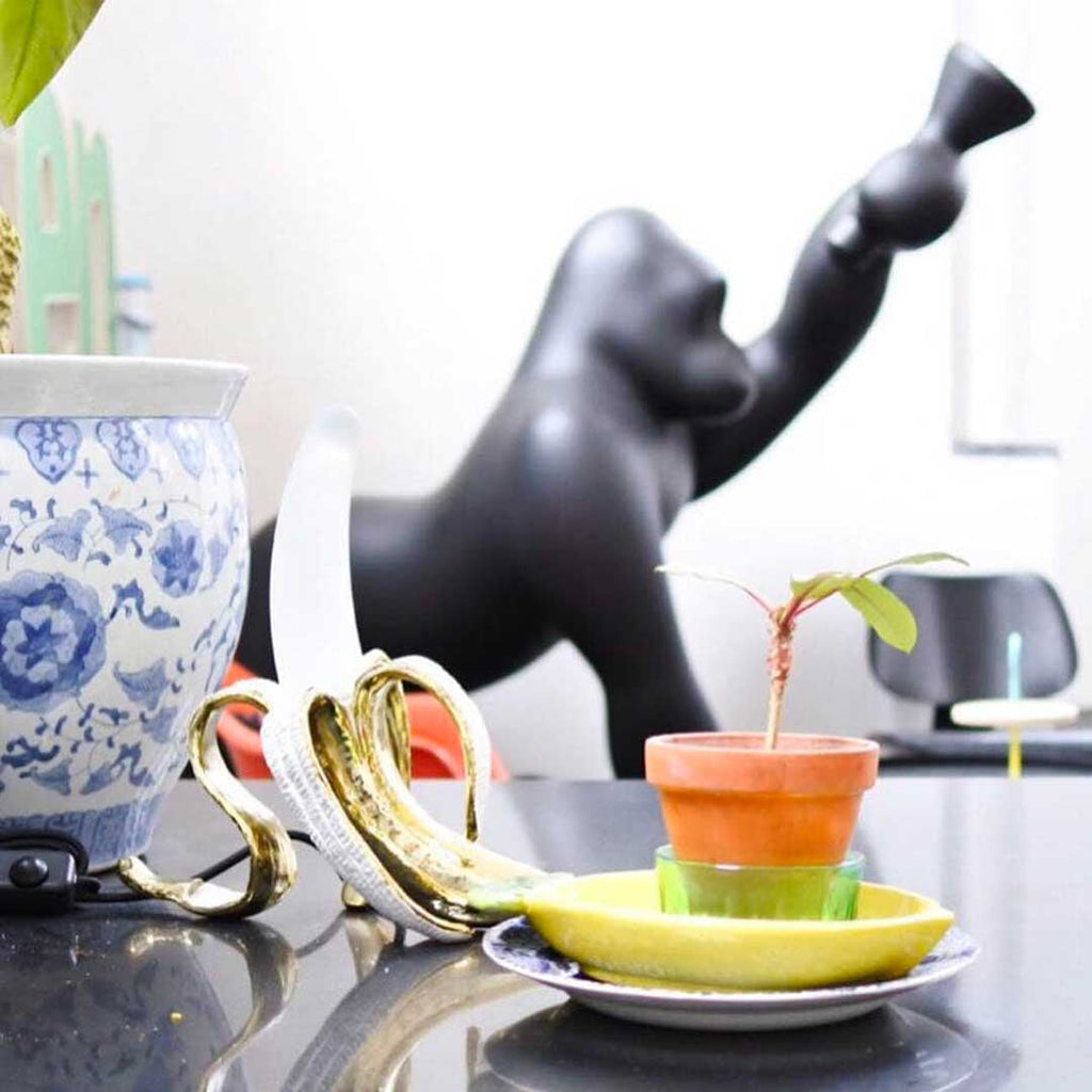 Kong Indoor/Outdoor
