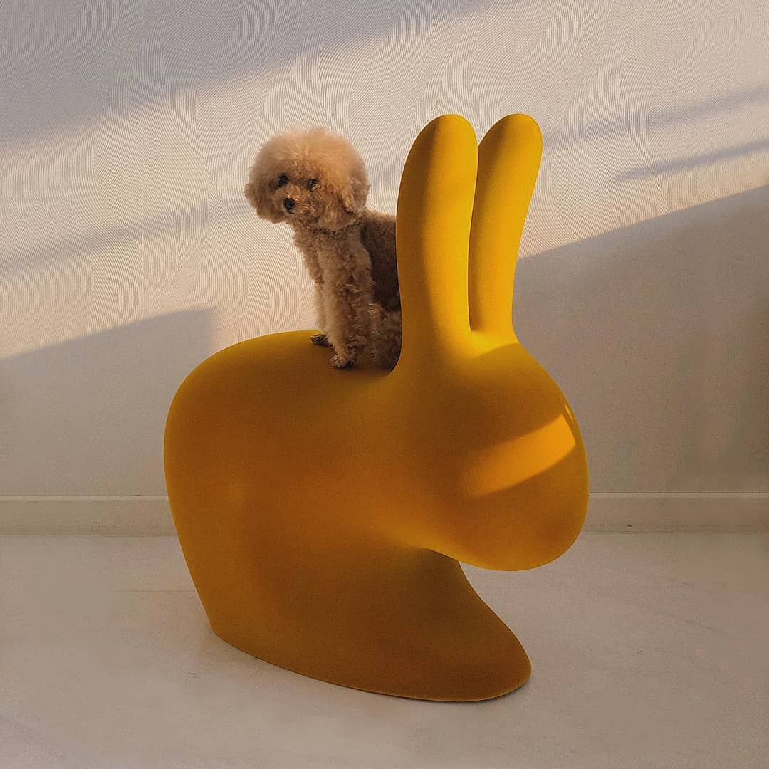 Velvet Rabbit Chair