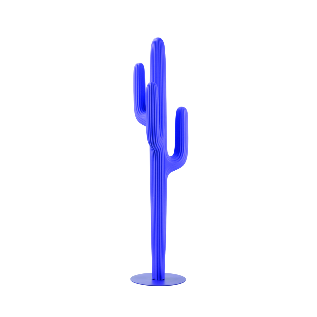 Saguaro Exterior