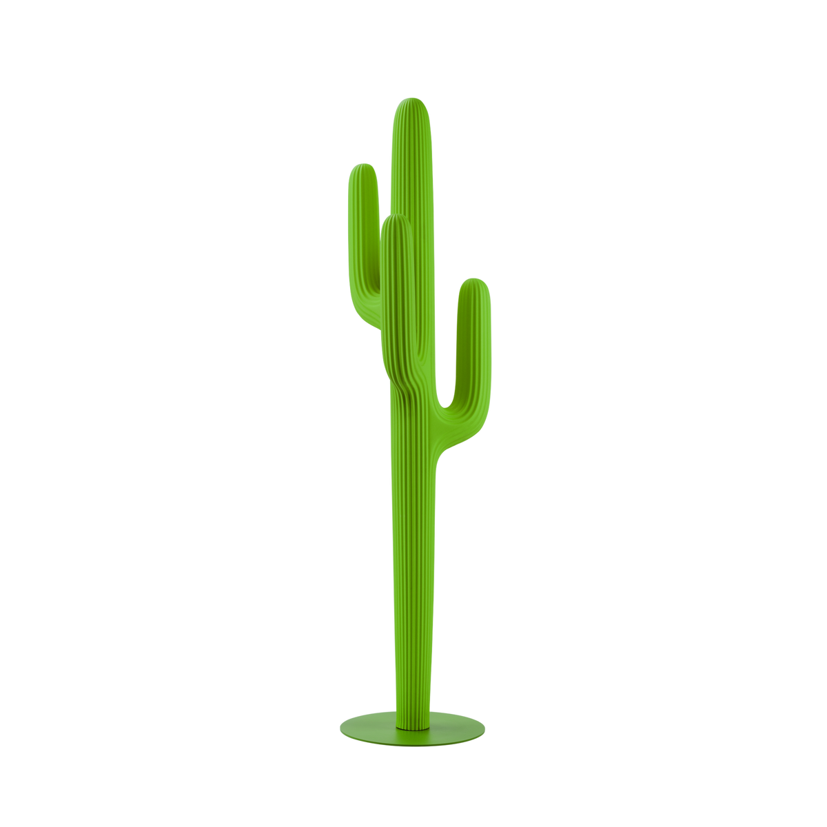 Saguaro Exterior