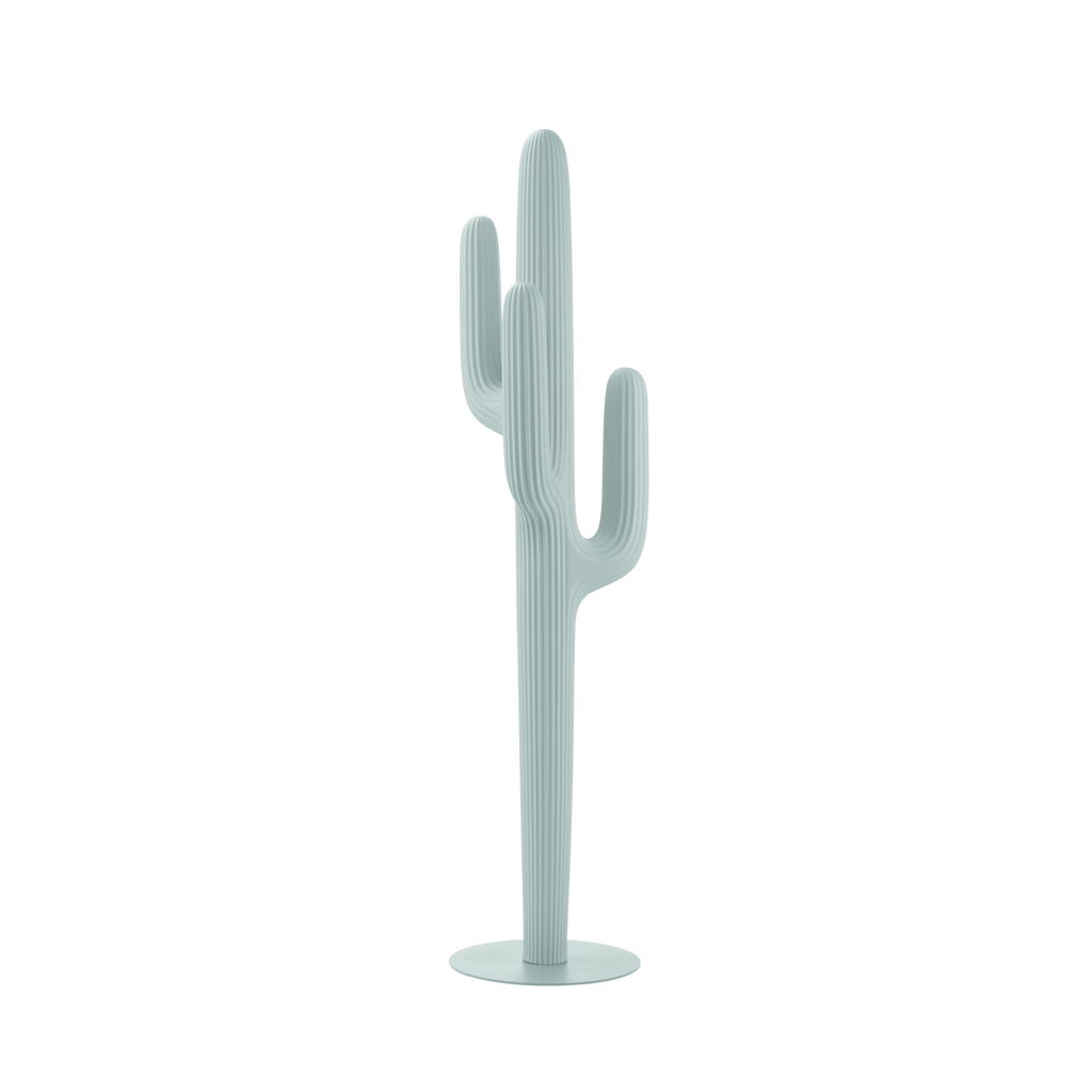 Saguaro Exterior