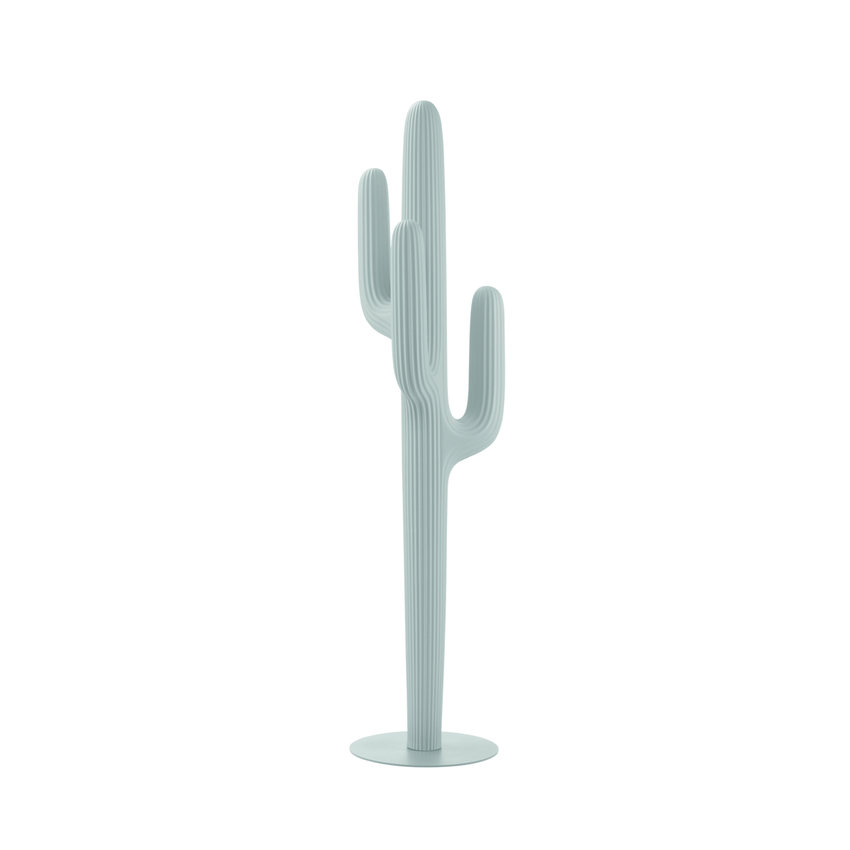 Saguaro Exterior
