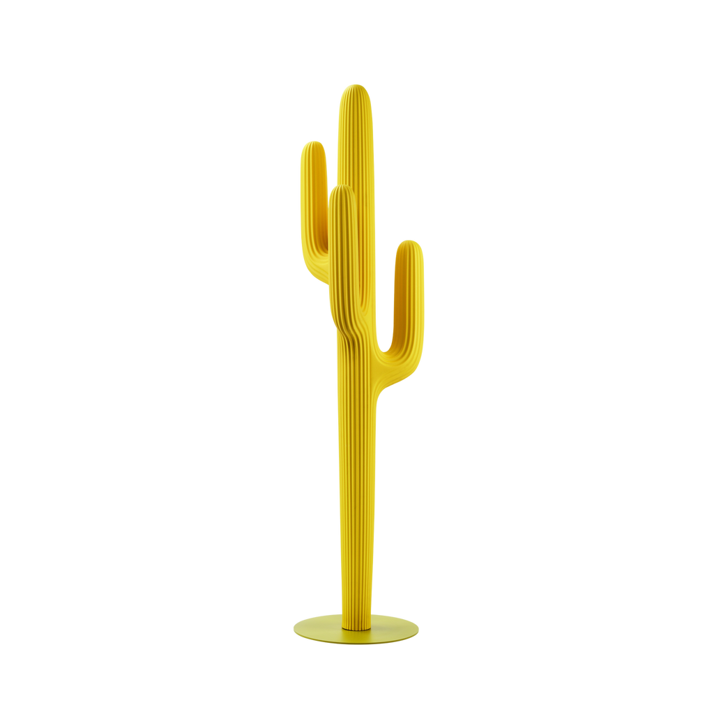 Saguaro Exterior