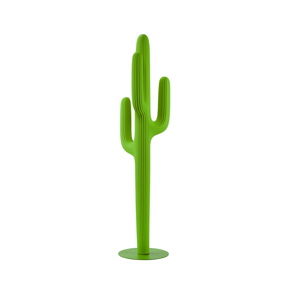Saguaro Outdoor