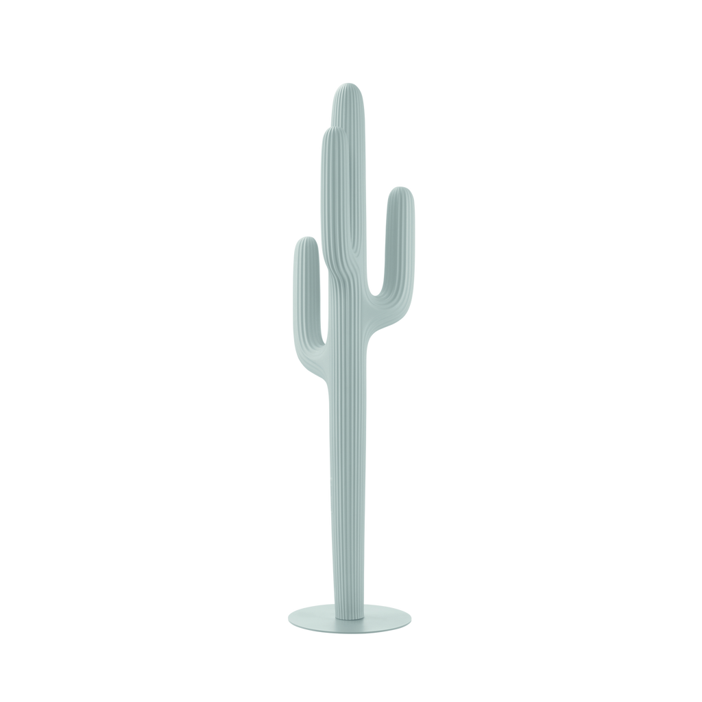 Saguaro Exterior