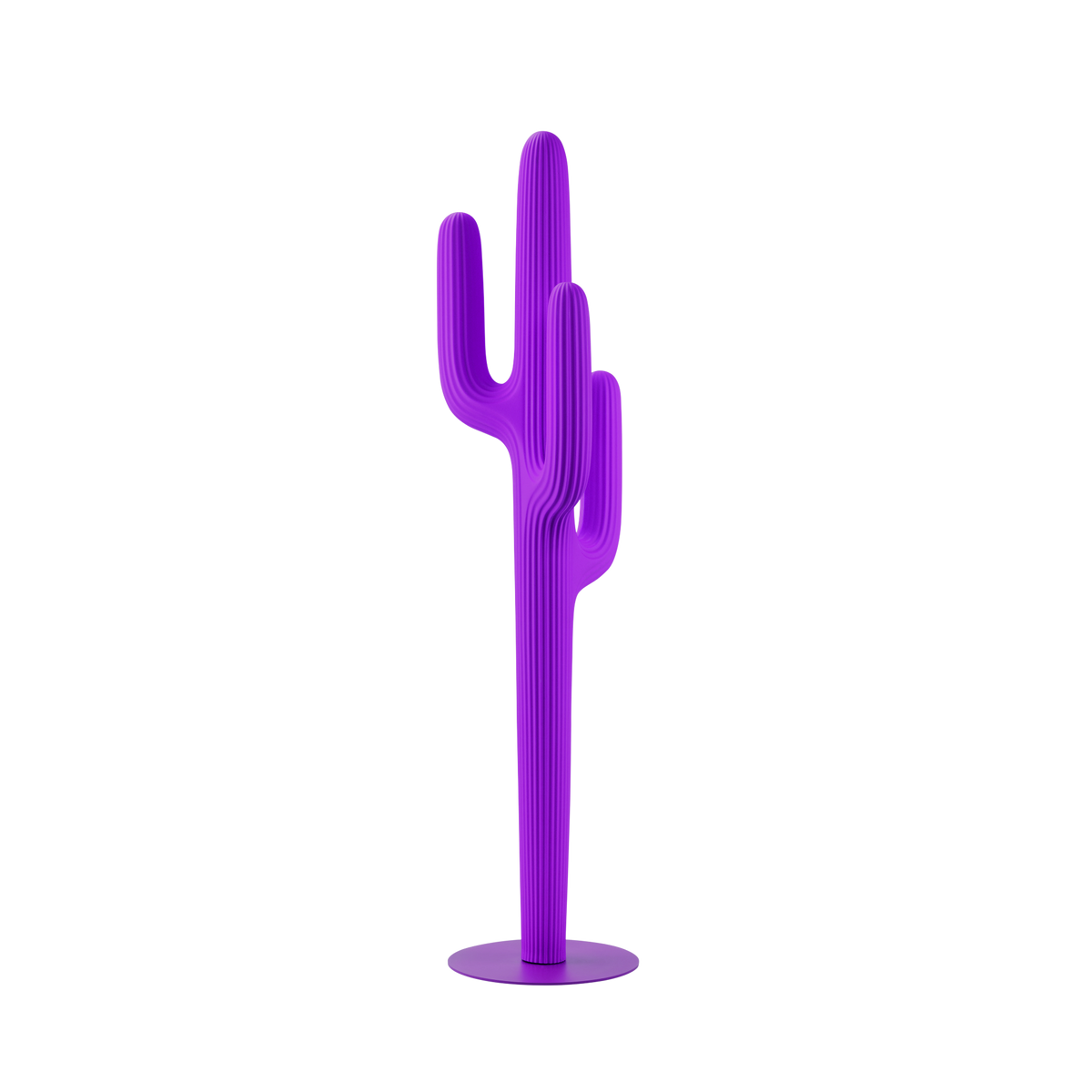 Saguaro Outdoor