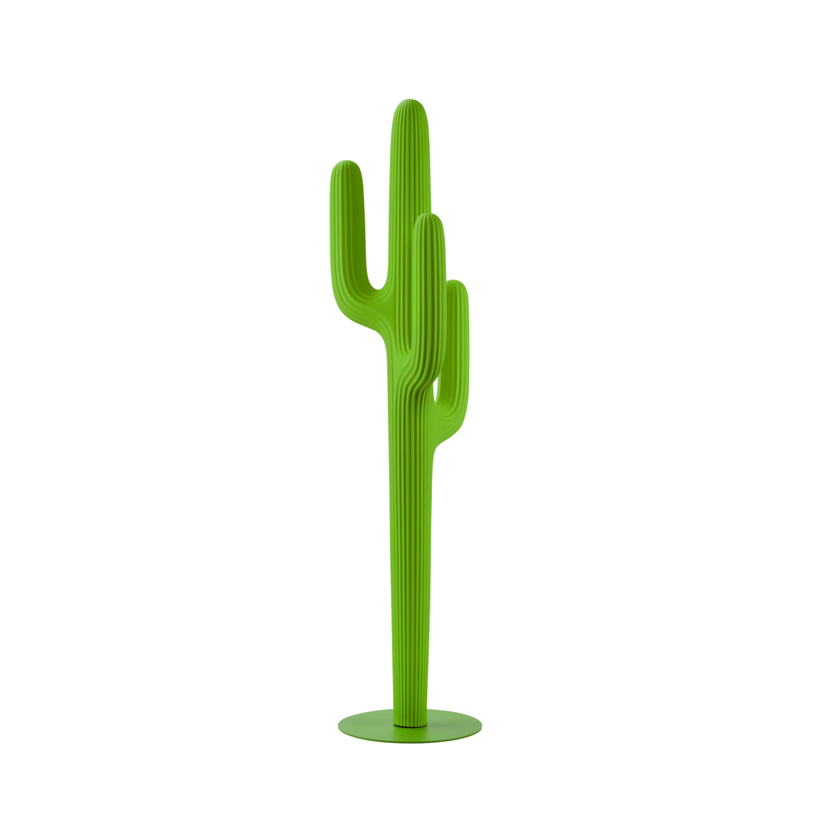 Saguaro
