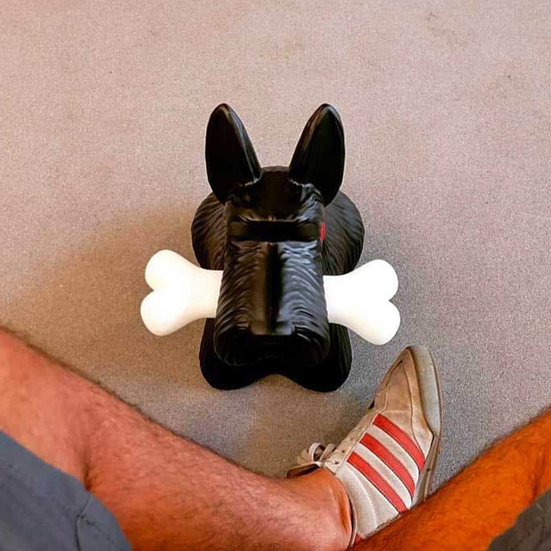 Scottie Lamp