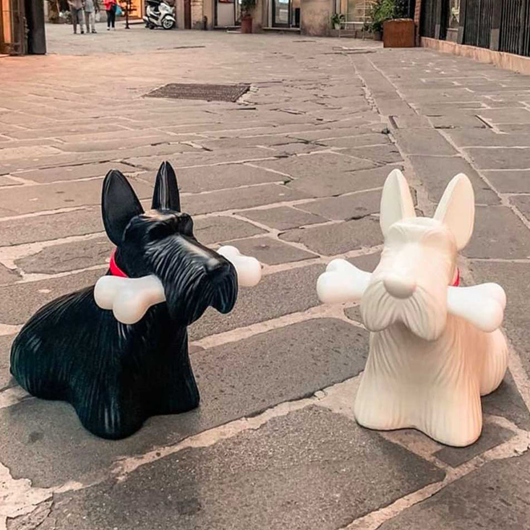 Scottie Lamp