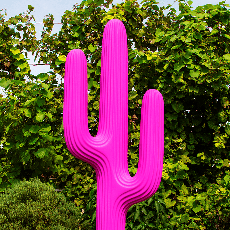 Saguaro